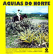 Águias do norte