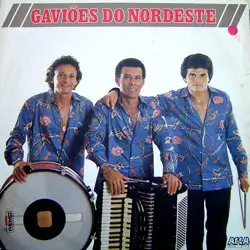 Capa do disco Gaviões do Nordeste, de Gaviões do Nordeste