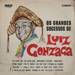 Os grandes sucessos de Luiz Gonzaga