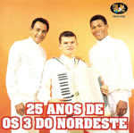 25 anos